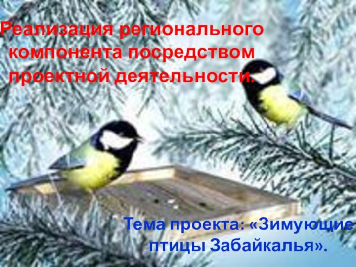 Реализация регионального компонента посредством проектной деятельности. Тема проекта: «Зимующие птицы Забайкалья».