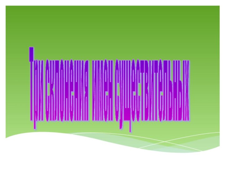 Три склонения имен существительных