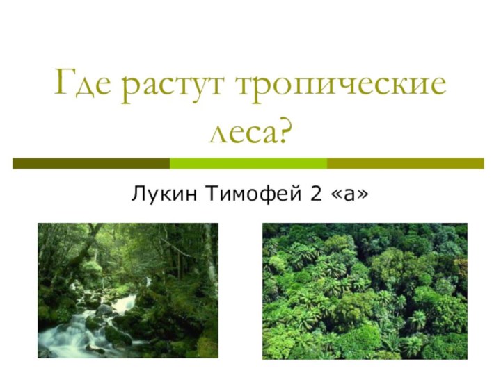 Где растут тропические леса?Лукин Тимофей 2 «а»