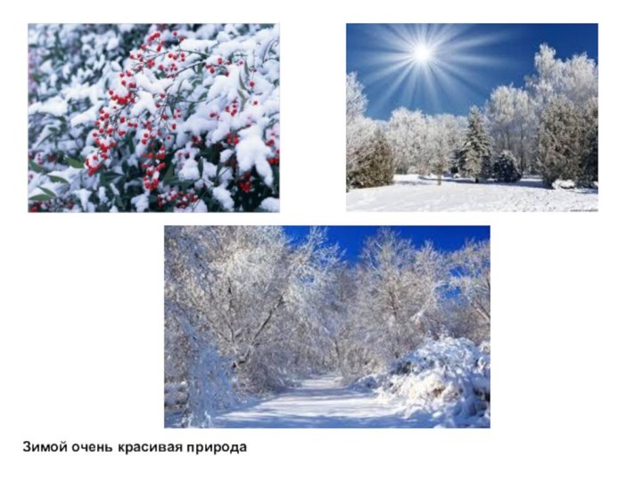 Зимой очень красивая природа