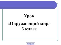 презентация к уроку окружающий мир Нервная система 3 класс презентация к уроку по окружающему миру (3 класс) по теме