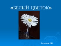 Мастер-класс БЕЛЫЙ ЦВЕТОК презентация к уроку по конструированию, ручному труду (старшая группа)