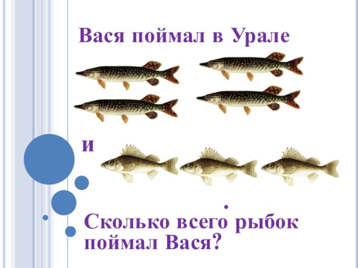 Вася поймал в Урале   Сколько всего рыбок поймал Вася?и