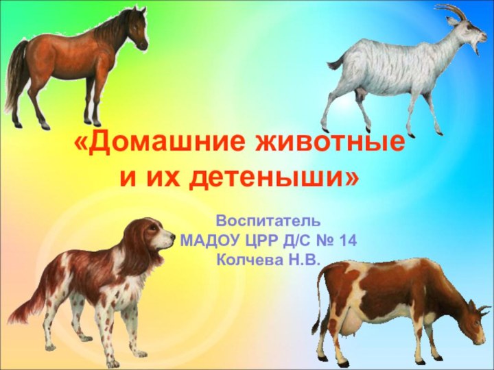 «Домашние животные и их детеныши»ВоспитательМАДОУ ЦРР Д/С № 14Колчева Н.В.