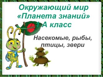 Урок окружающего мира 1 класс УМК Планета знаний Насекомые, рыбы, птицы, звери план-конспект урока по окружающему миру (1 класс) по теме