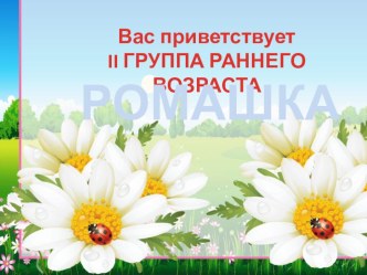 Давайте знакомится, группа РОМАШКА презентация к уроку (младшая группа) по теме