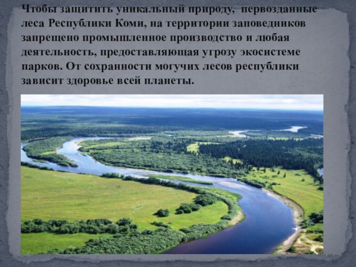 Чтобы защитить уникальный природу, первозданные леса Республики Коми, на территории заповедников запрещено
