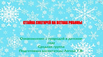 Презентация Стайка снегирей на ветках рябины презентация к уроку по окружающему миру (средняя группа)