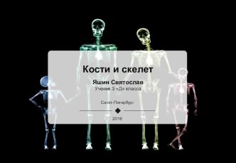 Кости и скелет презентация к уроку по окружающему миру (3 класс)