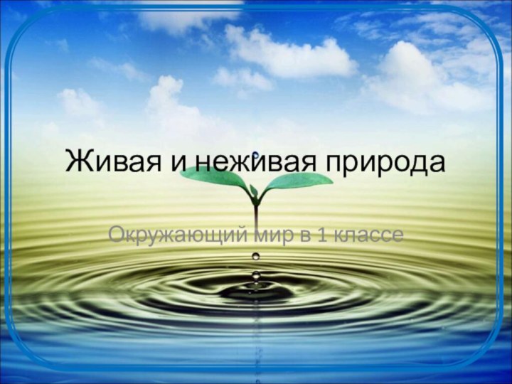 Живая и неживая природаОкружающий мир в 1 классе