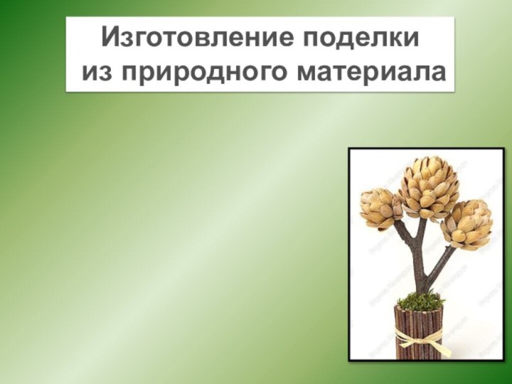 «ФИСТАШКОВОЕ  ДЕРЕВО»Изготовление поделки из природного материала