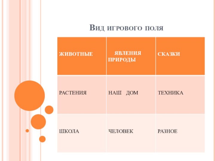 Вид игрового поля