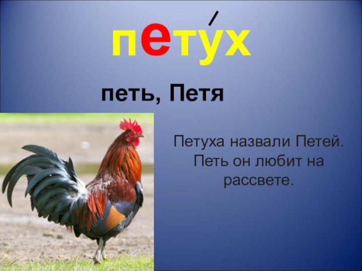 петухпеть, ПетяПетуха назвали Петей. Петь он любит на рассвете.