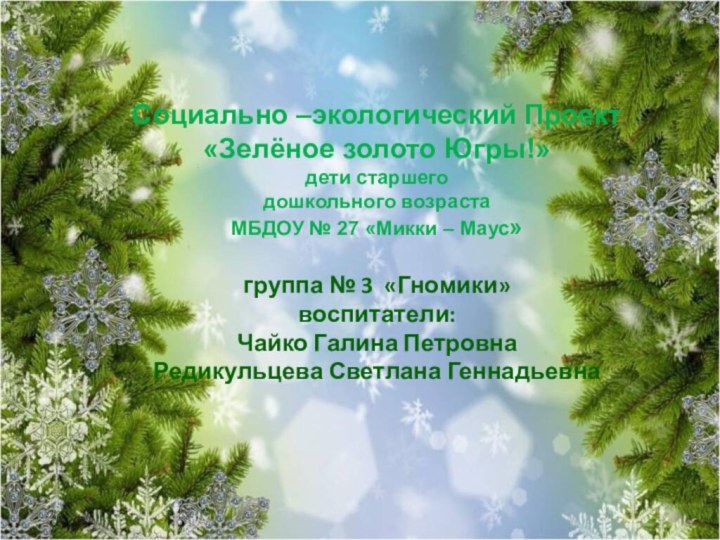 Социально –экологический Проект«Зелёное золото Югры!»дети старшего дошкольного возрастаМБДОУ № 27 «Микки –