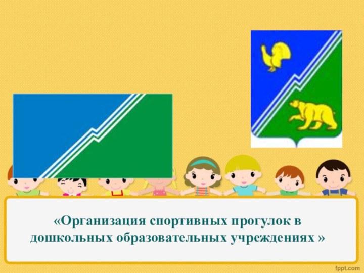 «Организация спортивных прогулок в дошкольных образовательных учреждениях »