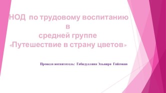 Конспект открытого занятия в средней группе Путешествие в страну цветов план-конспект занятия по окружающему миру (средняя группа) по теме