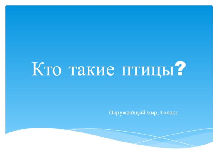 Кто такие птицы?