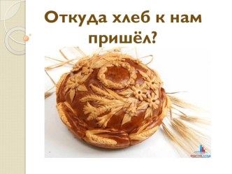 Презентация ОТКУДА К НАМ ХЛЕБ ПРИШЁЛ презентация к уроку по окружающему миру (старшая группа) по теме