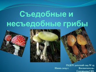 Презентация. Съедобные и несъедобные грибы. презентация к уроку по окружающему миру (подготовительная группа)