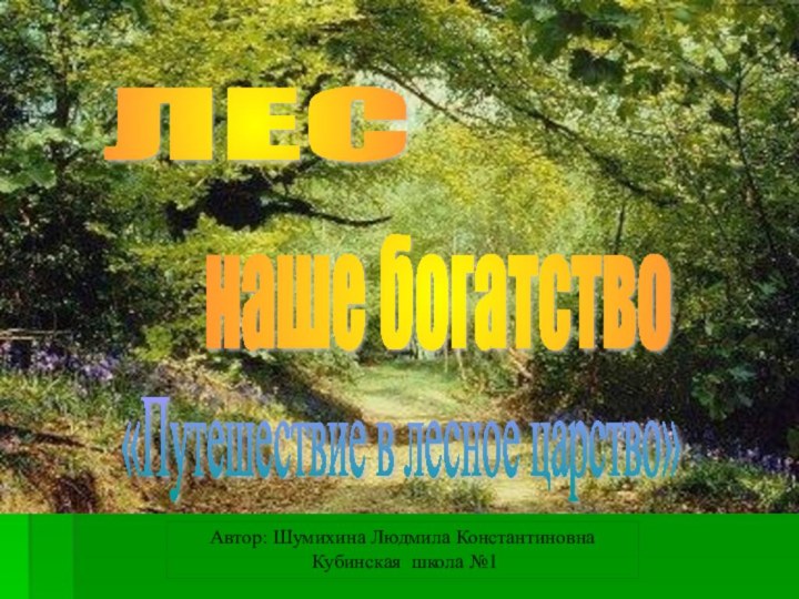 наше богатство ЛЕС Автор: Шумихина Людмила Константиновна  Кубинская школа №1