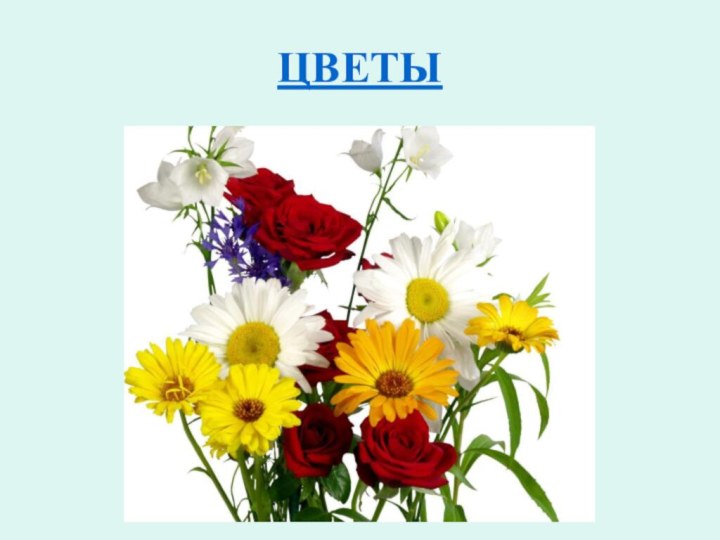 ЦВЕТЫ