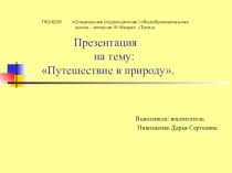 Презентация  Путешествие в природу презентация к уроку по окружающему миру (1 класс)