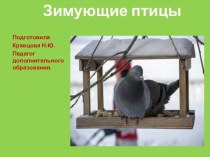 Презентация Зимующие птицы презентация урока для интерактивной доски по окружающему миру (старшая группа)