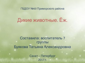 Ёж. Презентация.Младшая группа. презентация к уроку по окружающему миру (младшая группа)