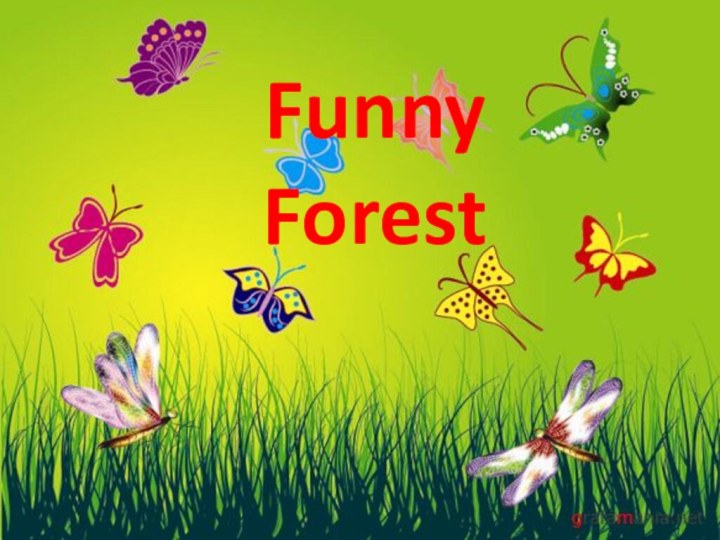 Funny Forest