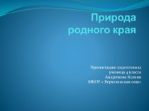 Презентация Природа родного края презентация к уроку (окружающий мир, 4 класс) по теме