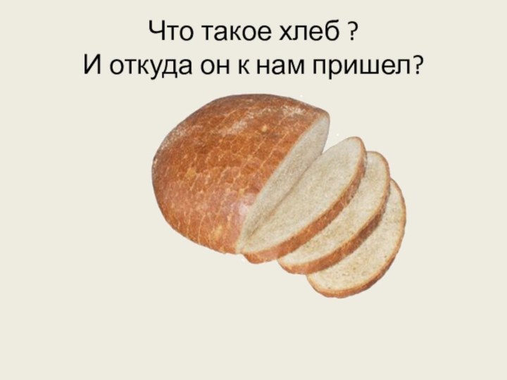 Что такое хлеб ? И откуда он к нам пришел?