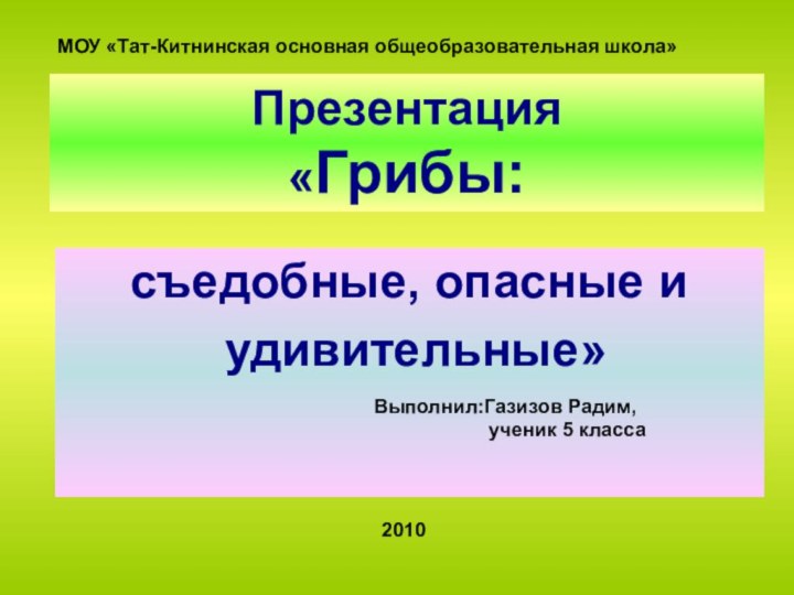 Презентация «Грибы:   съедобные, опасные и