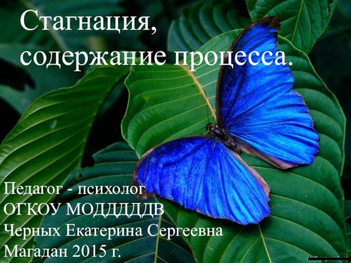 Стагнация, содержание процесса.Педагог - психологОГКОУ МОДДДДДВЧерных Екатерина СергеевнаМагадан 2015 г.