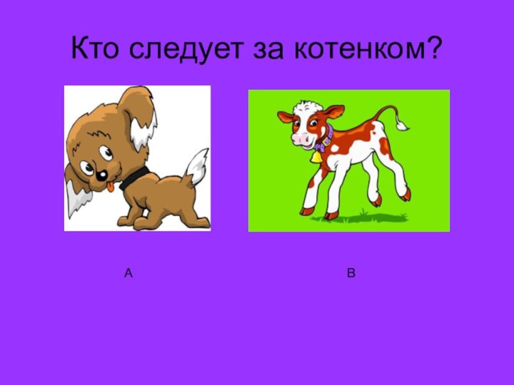 Кто следует за котенком?АВ