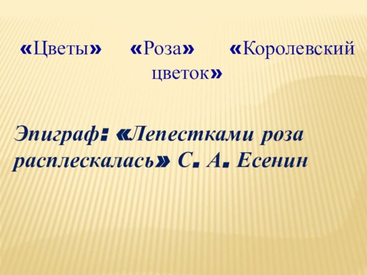 «Цветы»  «Роза»   «Королевский цветок»Эпиграф: «Лепестками роза расплескалась» С. А. Есенин