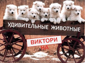 Презентация о животных презентация к уроку по окружающему миру