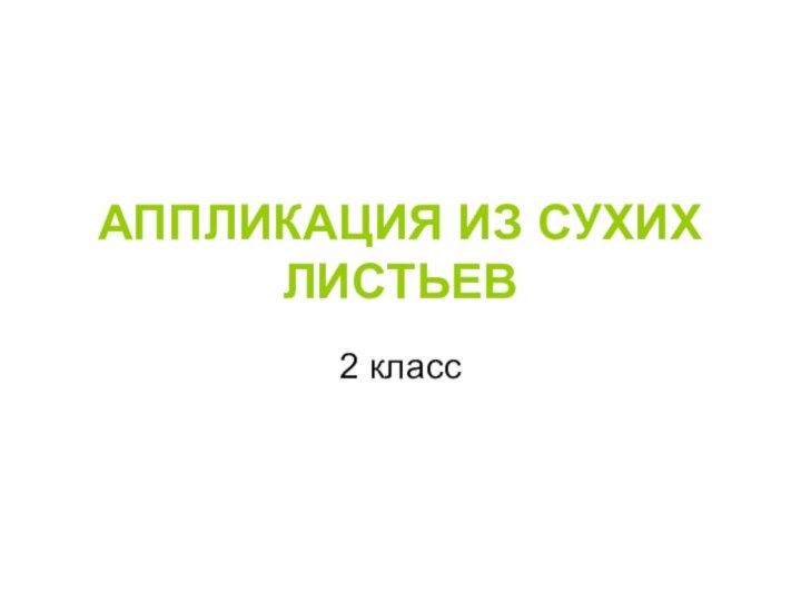 АППЛИКАЦИЯ ИЗ СУХИХ ЛИСТЬЕВ2 класс