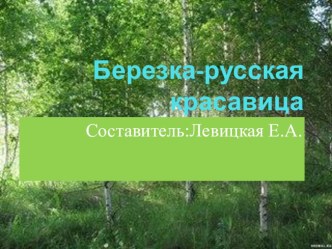 Презентация Березка - русская красавица презентация к уроку по окружающему миру (подготовительная группа)