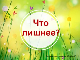 Дидактическая игра Что Лишнее презентация по теме