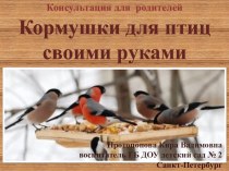 Кормушка для птиц своими руками консультация