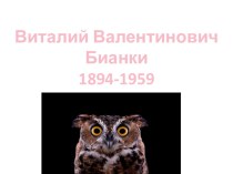 Презентация к уроку В.В Бианки  Сова презентация к уроку по чтению (2 класс)