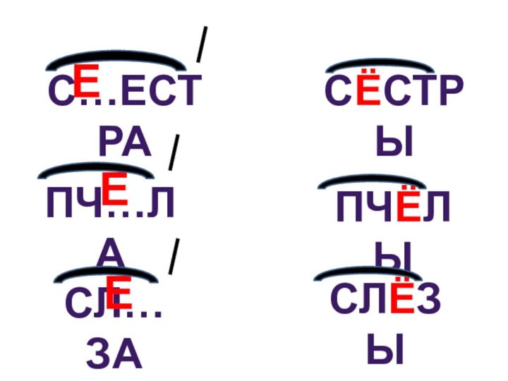 С…естраПч…лаСл…засёстрыпчёлыслёзыеее