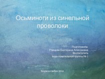 Презентация  Работа с синельной проволокой . презентация к уроку (подготовительная группа)