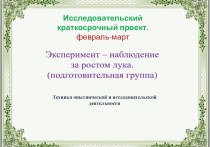 Эксперимент-наблюдение за ростом лука. презентация к уроку по окружающему миру (подготовительная группа)