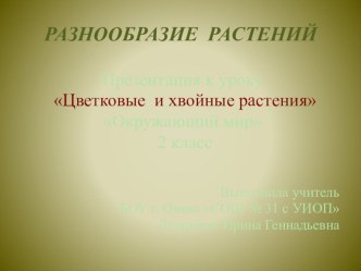 Презентация к уроку Разнообразие растений. Окружающий мир.2 класс презентация к уроку по окружающему миру (2 класс)