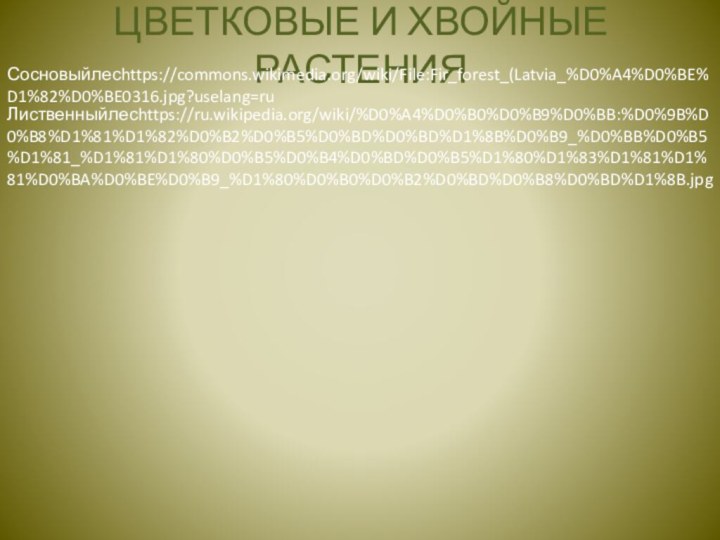 ЦВЕТКОВЫЕ И ХВОЙНЫЕ РАСТЕНИЯСосновыйлесhttps://commons.wikimedia.org/wiki/File:Fir_forest_(Latvia_%D0%A4%D0%BE%D1%82%D0%BE0316.jpg?uselang=ruЛиственныйлесhttps://ru.wikipedia.org/wiki/%D0%A4%D0%B0%D0%B9%D0%BB:%D0%9B%D0%B8%D1%81%D1%82%D0%B2%D0%B5%D0%BD%D0%BD%D1%8B%D0%B9_%D0%BB%D0%B5%D1%81_%D1%81%D1%80%D0%B5%D0%B4%D0%BD%D0%B5%D1%80%D1%83%D1%81%D1%81%D0%BA%D0%BE%D0%B9_%D1%80%D0%B0%D0%B2%D0%BD%D0%B8%D0%BD%D1%8B.jpg