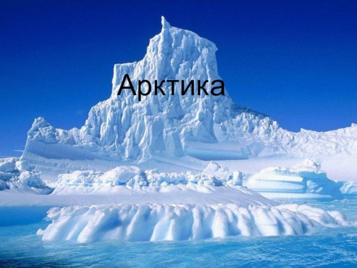 Арктика