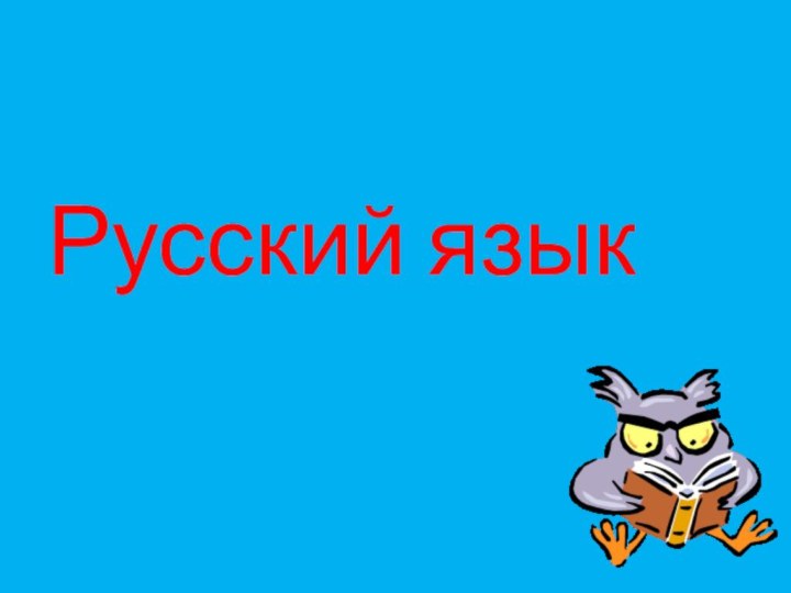 Русский язык