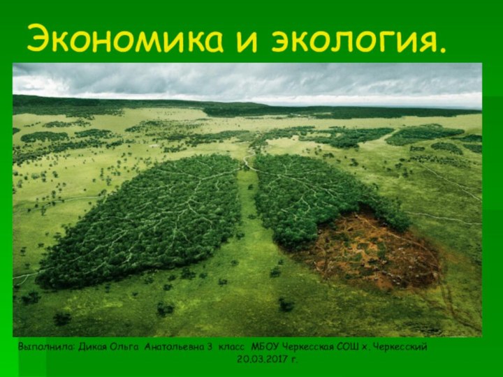 Экономика и экология.Выполнила: Дикая Ольга Анатольевна 3 класс МБОУ Черкесская СОШ х.