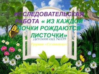 Из каждой почки рождаются листочки презентация к уроку (средняя группа)